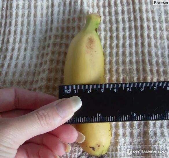 Сколько весит банан без кожуры в среднем. Бананы мини. Банан мини вес. Вес 1 банана. Вес одного мини банана.
