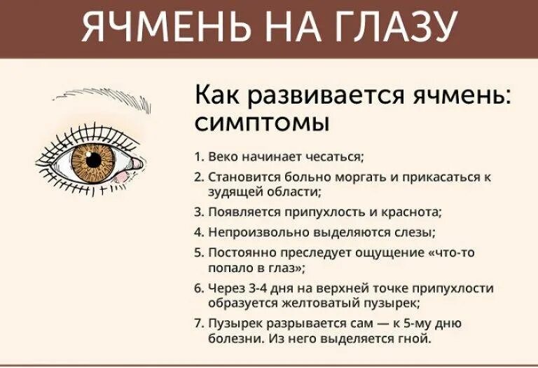 Как называется ячмень. Ячмень на глазу стадии развития. как вылечить ячмень на глазу у ребенка. почему появляется ячмень на глазу.