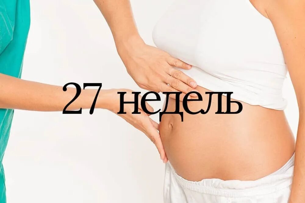 Живот на 27 неделе беременности мальчиком. Какой живот на 27 неделе беременности. Неделя с 27 ноября