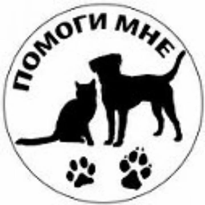 Помощь животным оренбург. Эмблема бездомных животных. Логотип собака. Защита бездомных животных. Логотип для приюта бездомных животных.