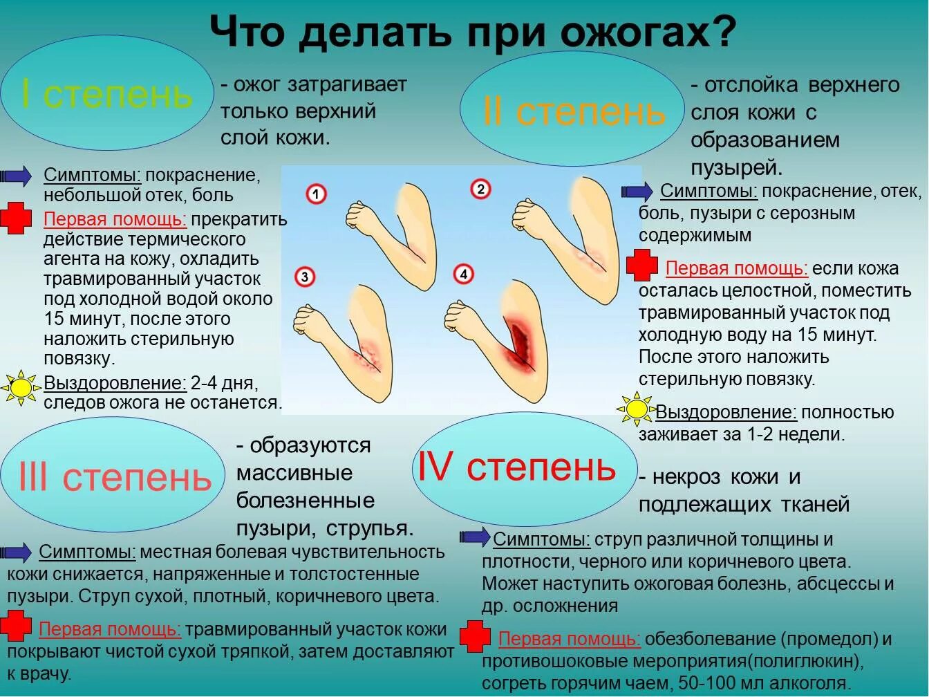 Сколько длится зуд. Что делать если объжекся.