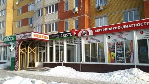 Эстет тамбов