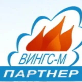 Фирма wings
