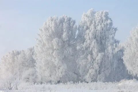 Была зима стояли морозы
