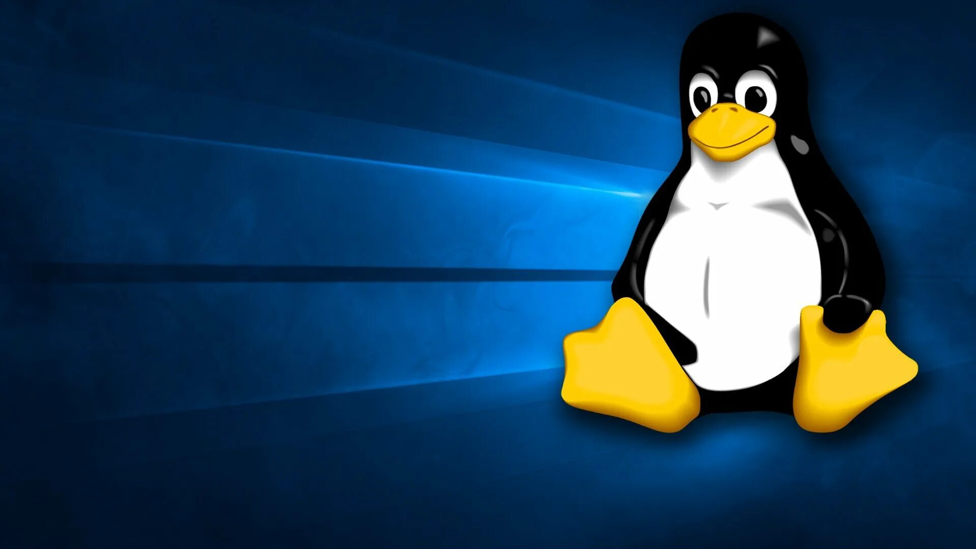 C под linux. Пингвин тукс ubuntu. линукс операционная система. linux пингвин tux. ос linux пингвин.