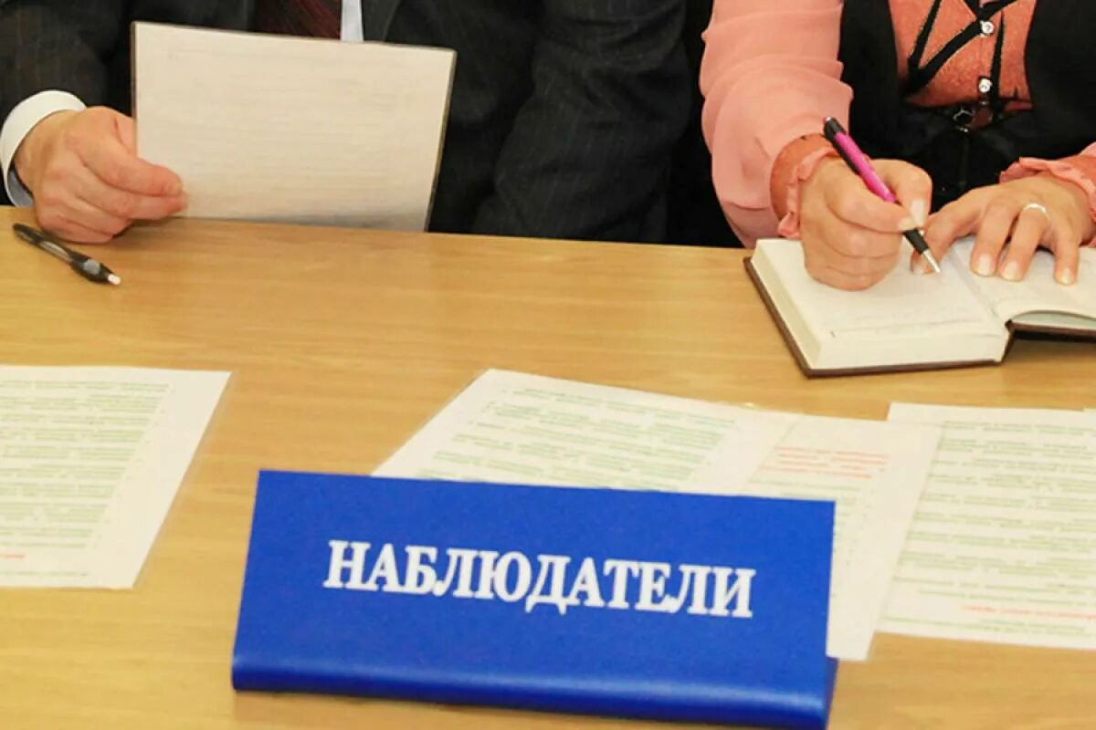 Общественный наблюдатель. Картинки выборы наблюдатель. Наблюдатели на выборах фото. Табличка наблюдатели на выборах. Независимые наблюдатели на выборах.