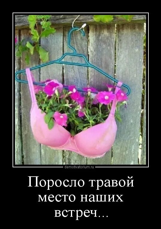 Поросло травой. Поросло травой место наших фото. Поросла любовь травой. Поросло травой место. Бьянка треки.