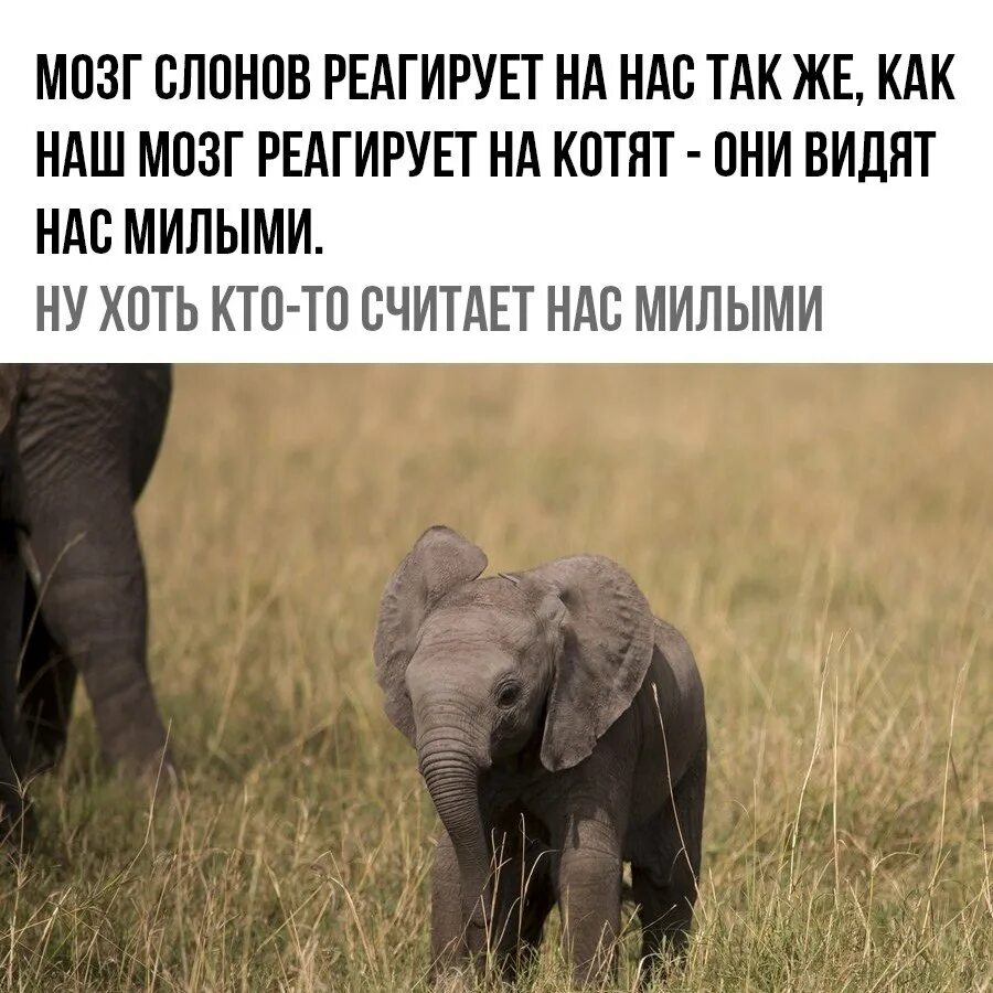 Так я вижу поддержку