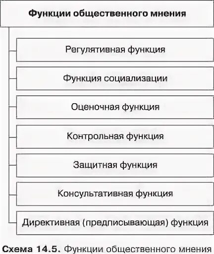 Основные функции общественного мнения