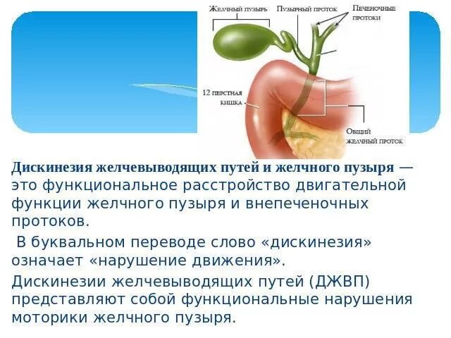 Болезни желчного пузыря и желчевыводящих. Дискинезия желчного пузыря терапия. Косвенные признаки дискинезии желчевыводящих путей что это. Дискинезия желчевыводящих путей это Перегиб.