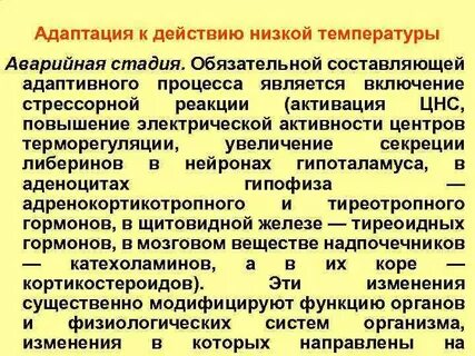 Адаптация к высоким и низким температурам