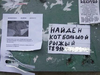 Развешивать объявления