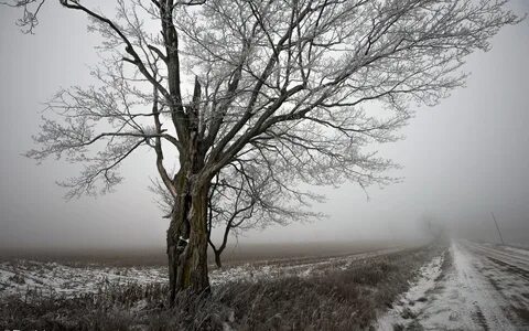Пейзаж грусти