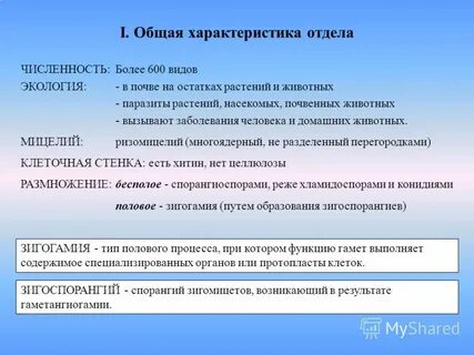 Характеристика отдела