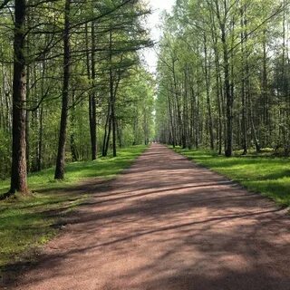Следующий парк