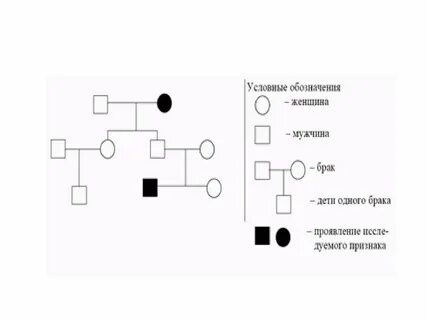 На схемах родословных женщину обозначают