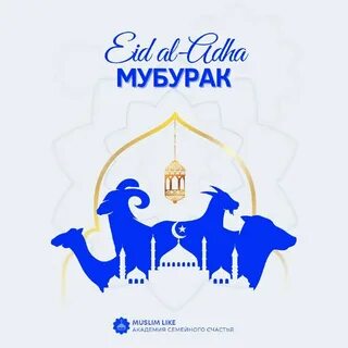 Лайк тг