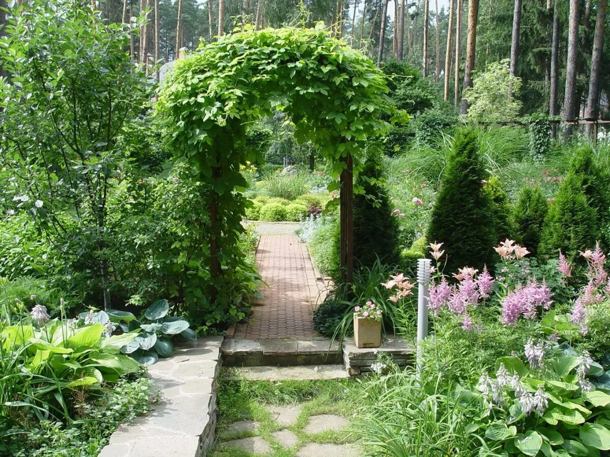 Делаем сад