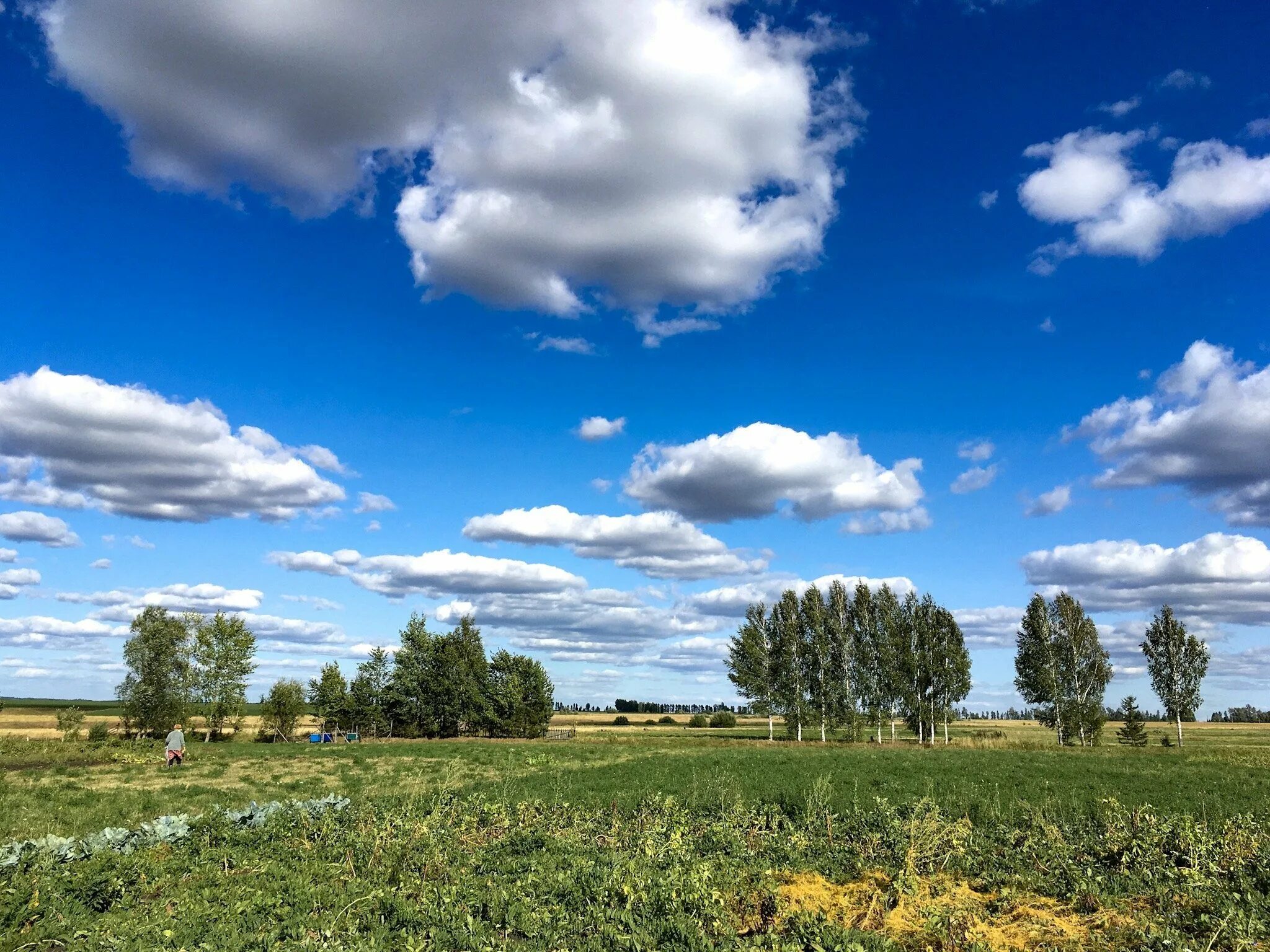 Чувашская республика природа. Воздух чувашии. Природа и климат чувашии. Река волга ульяновск. Просторы чувашии.