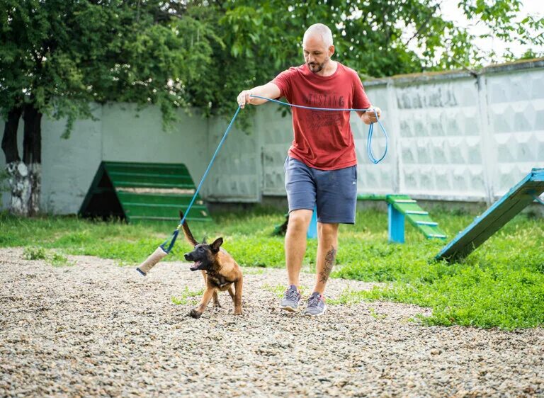Школа дрессировки собак люкс. Школа дрессировки собак люкс. Шдс люкс школа дрессировки. Школа дрессировки собак люкс. Школа дрессировки собак обухово.