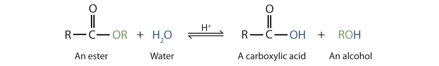 Ацетат алюминия гидролиз. Ацетат натрия HCL. Естер + вода формула. Ацетат магнийбромида вода. Uses of carboxylic acids.