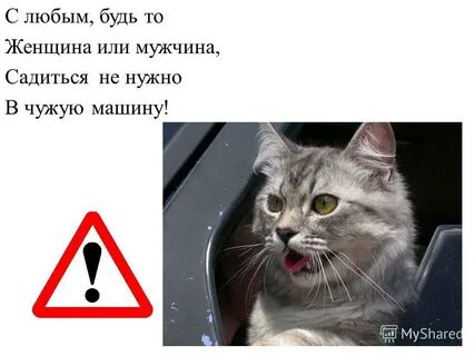 Любой есть