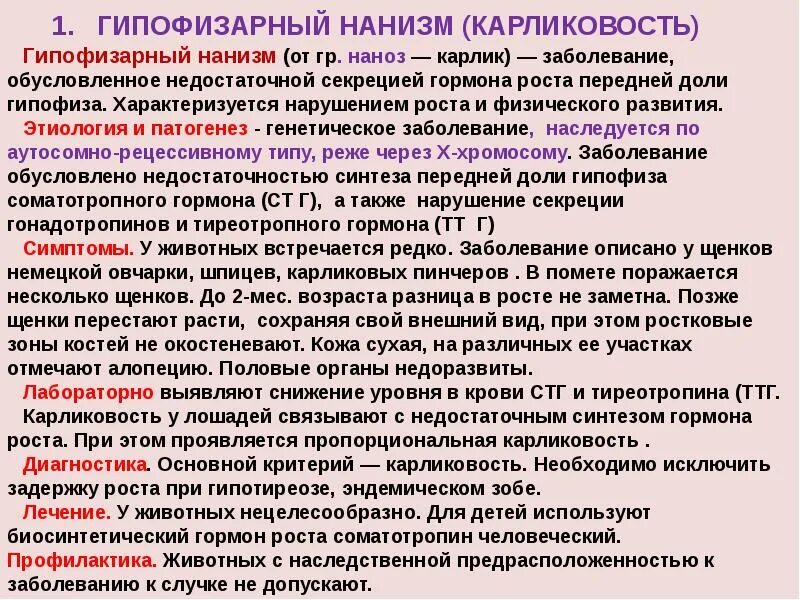 Гипофизарный нанизм этиология. Гипофизарный нанизм патогенез. Гипофизарный нанизм этиология и патогенез. Карликовость механизм развития. Заболевание гормона роста