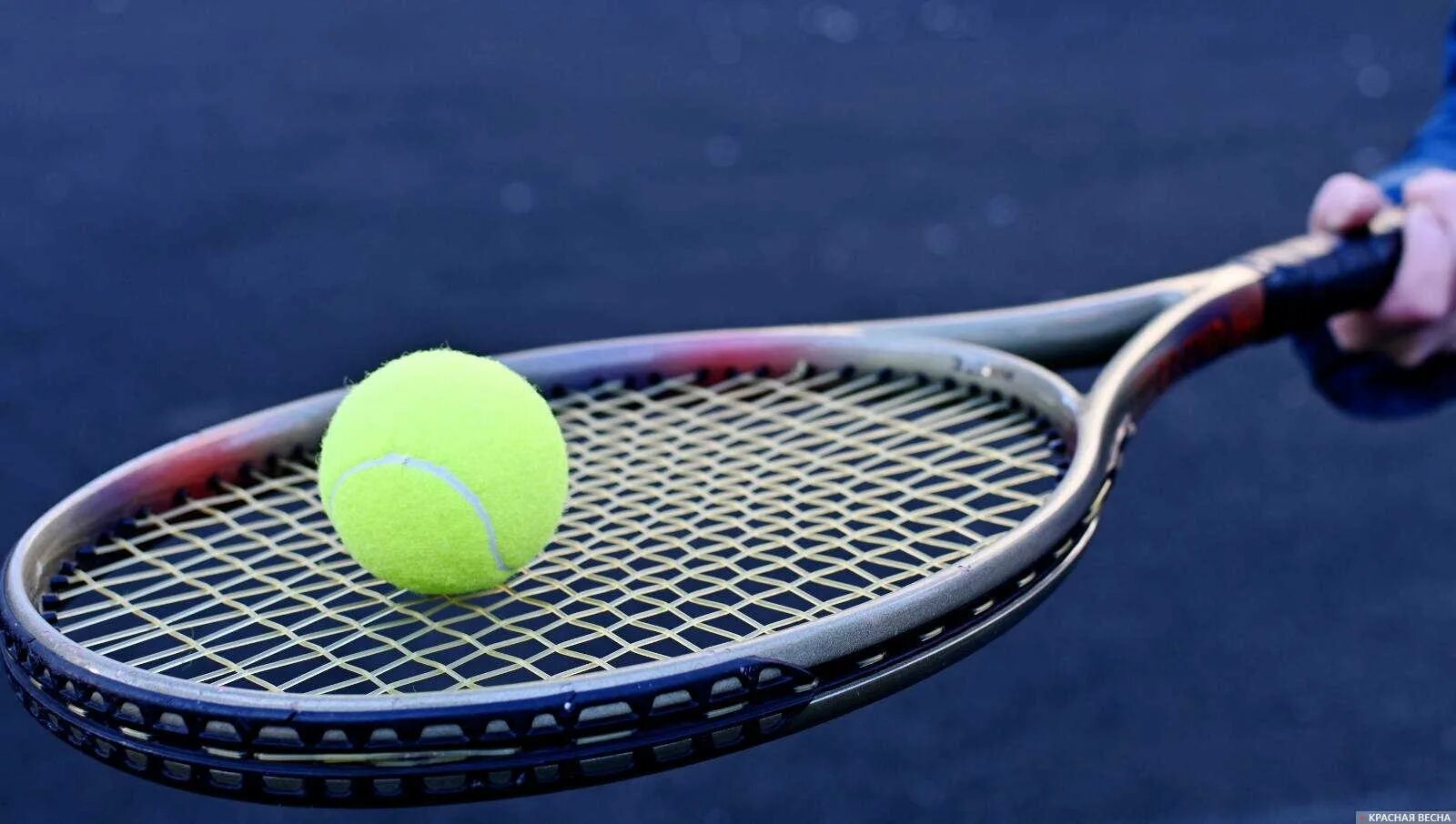Уилбиндон корт 2022 теннис. Теннисная ракетка и мячик. Открытый Чемпионат США по теннису 2022.