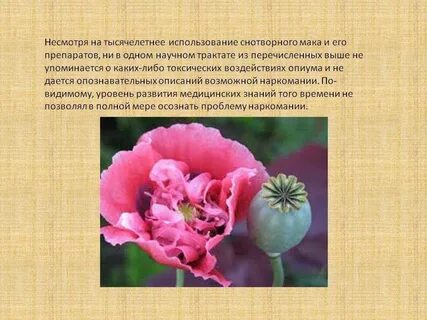 Мак свойства