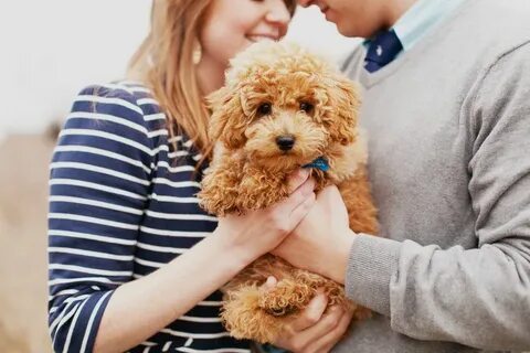 Puppy love