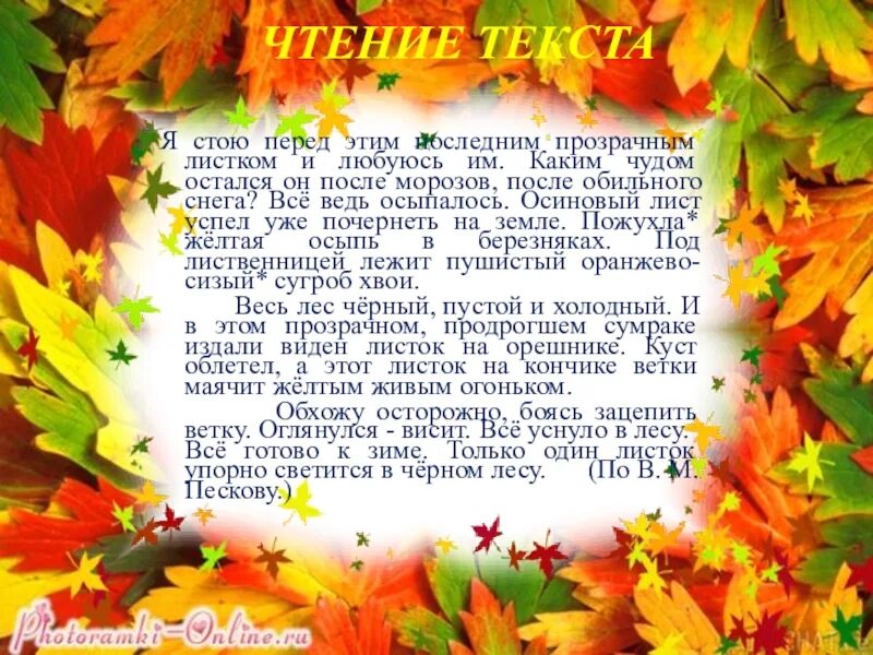 Я стоял перед последним прозрачным листком. Я стоял перед последним прозрачным листком