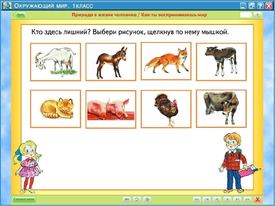 Конспект урока животные 1 класс. Урок по теме животные. Домашние животные окружающий мир. Домашние животные по окружающему миру 1 класс. Тема урока животные.