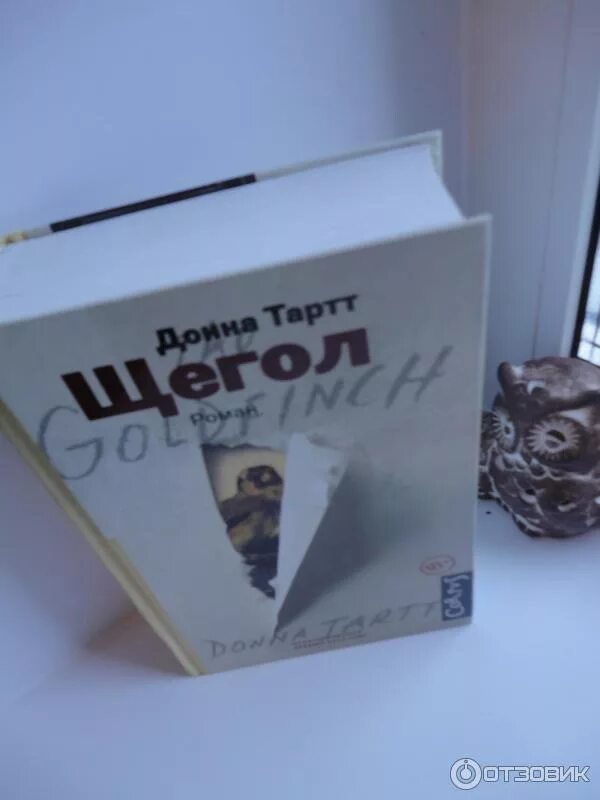 Щегол донна краткое содержание. Донна тартт. щегол. книга щегол (тартт донна). тарт щегол книга. щегол книга борис.