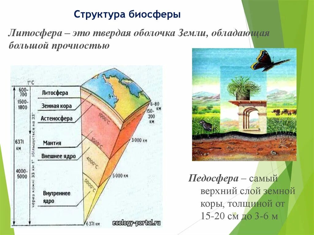 В литосфере существует жизнь. Литосфера твердая оболочка земли. Структура биосферы земли. Схема строения литосферы земли.