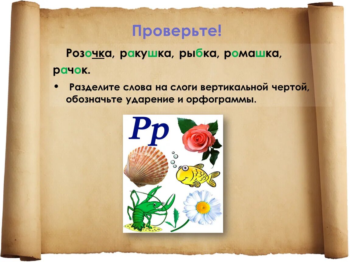 Поставь ударение в слове ракушка. Поставь ударение в слове ракушка. Поставь ударение в словах 1 класс. Поставь ударение в слове ракушка. Ракушка ударение.