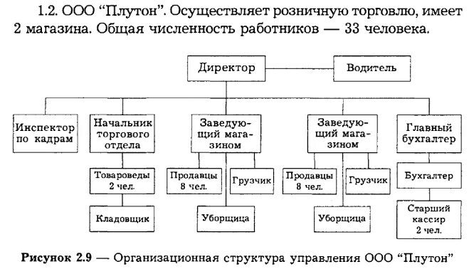 ООО Плутон организационная структура управления. Управление ООО. Структура предприятия директор водитель. ООО "Плутон" какой Тип организационной структуры.