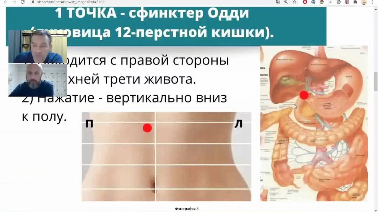 Сфинктер одди расположение фото PPT Anatomy of Pancreas PowerPoint Presentation, free download ID:1430734
