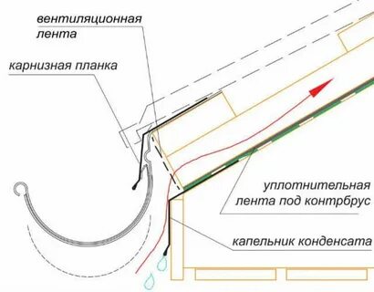 Слово капельник