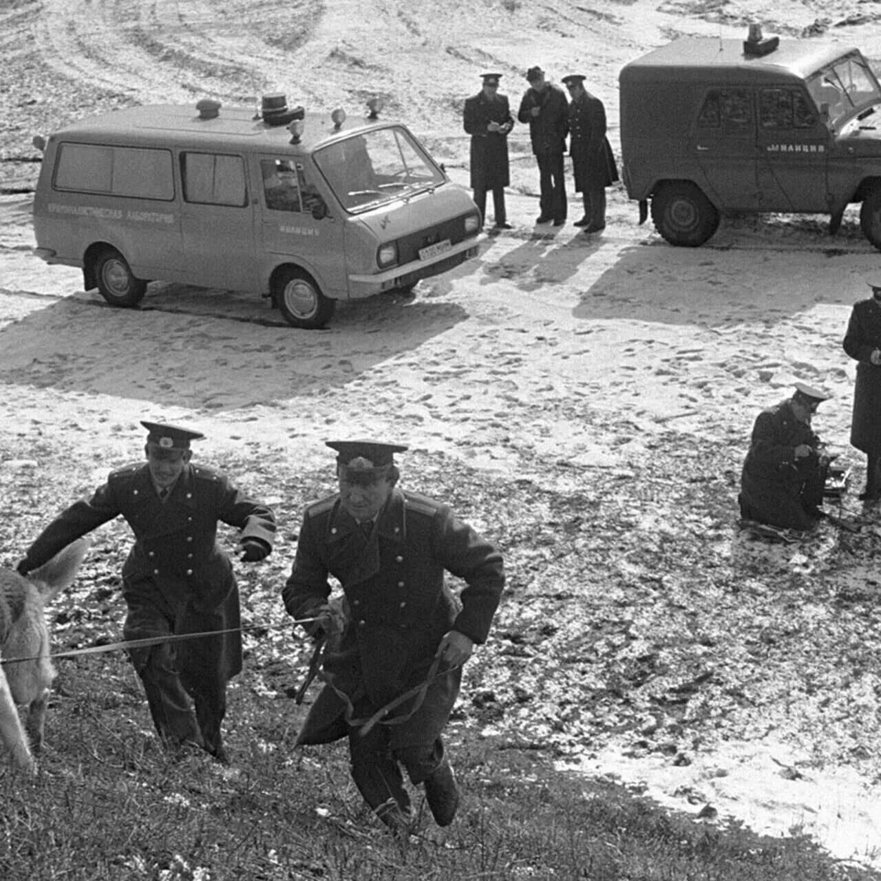 Безлюдное место. Саша сулим книга. Как ловят серийных убийц. Как ловят маньяков в россии». Безлюдное место как ловят маньяков в россии книга.