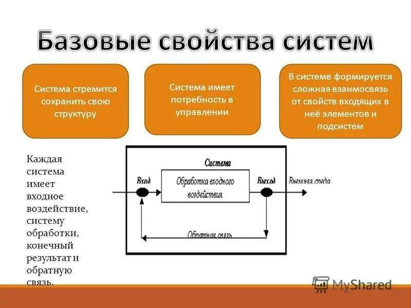 Представляют собой системы взаимосвязанных элементов