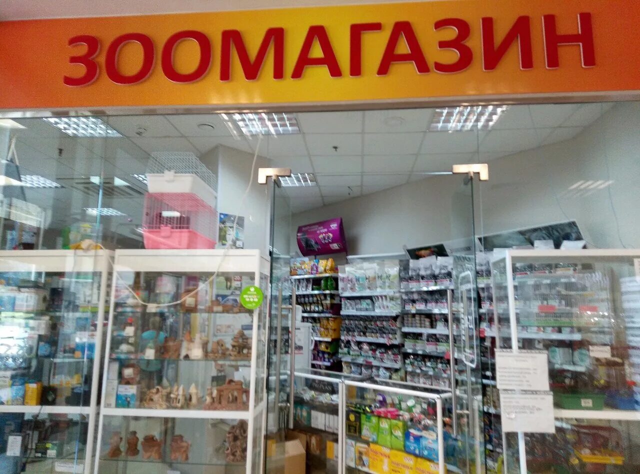 Зоомагазин липецк адреса. Зоомагазины в липецке. Октябрьский рынок магазин зоомагазины липецк. Магазин "кошки мышки". Зоомагазин ассортимент.
