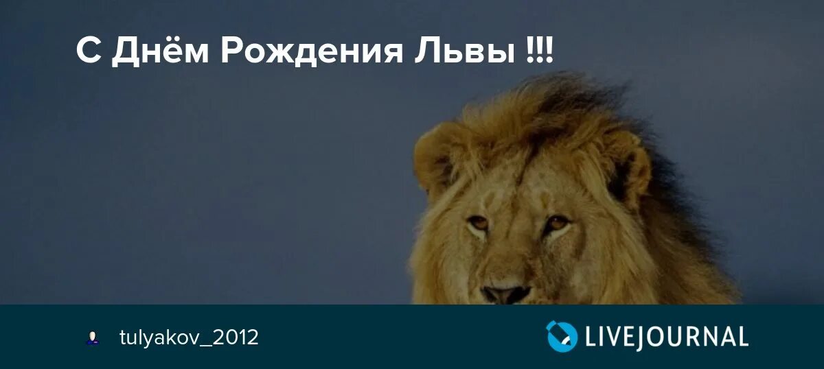 Какого года родился лев. С днем рождения Лев. Лев даты рождения. Даты рождаются львы. Открытка с днём рождения Лев.