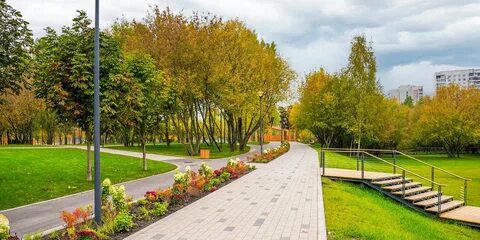 Пасли парк