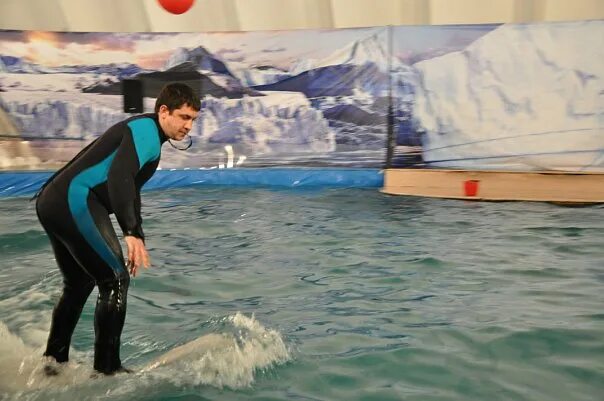 Андрей гринев ростов. Сергей гринев. Антон гринев. Гринев нефтекамск. Сергей гринев волгоград.