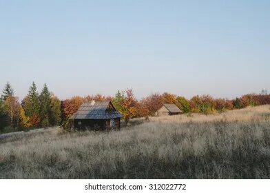 Это был цвет села