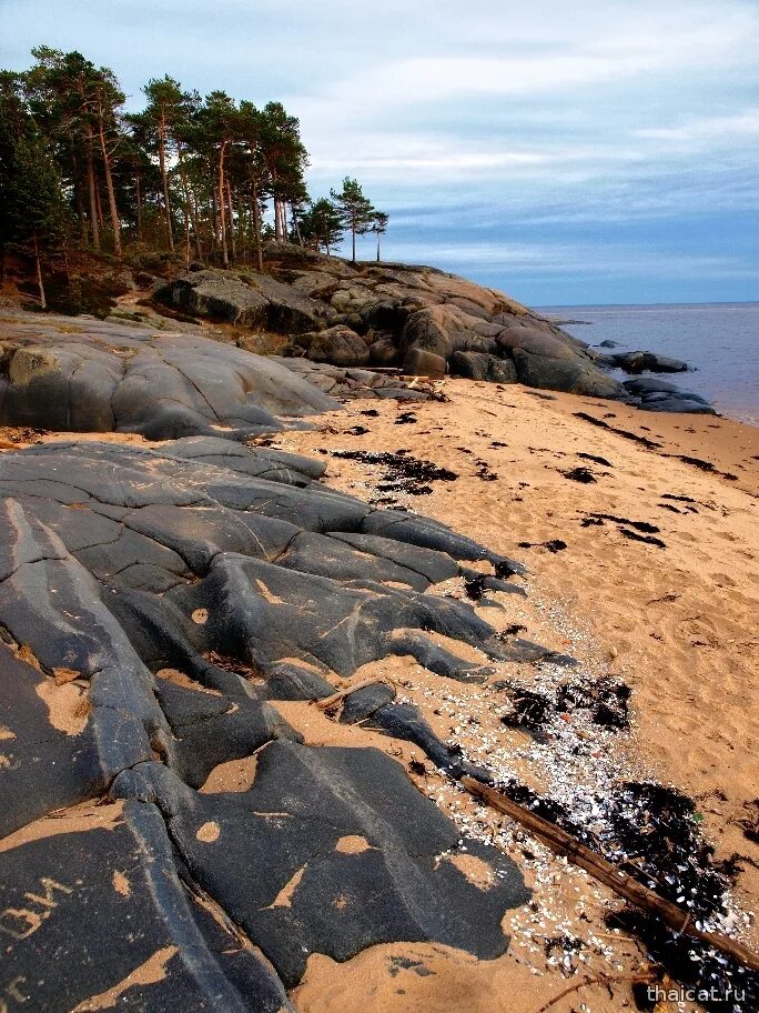 Кий остров онега. Онега белое море кий остров. Остров кий в белом море. Онега белое море кий остров. Онега белое море кий остров.