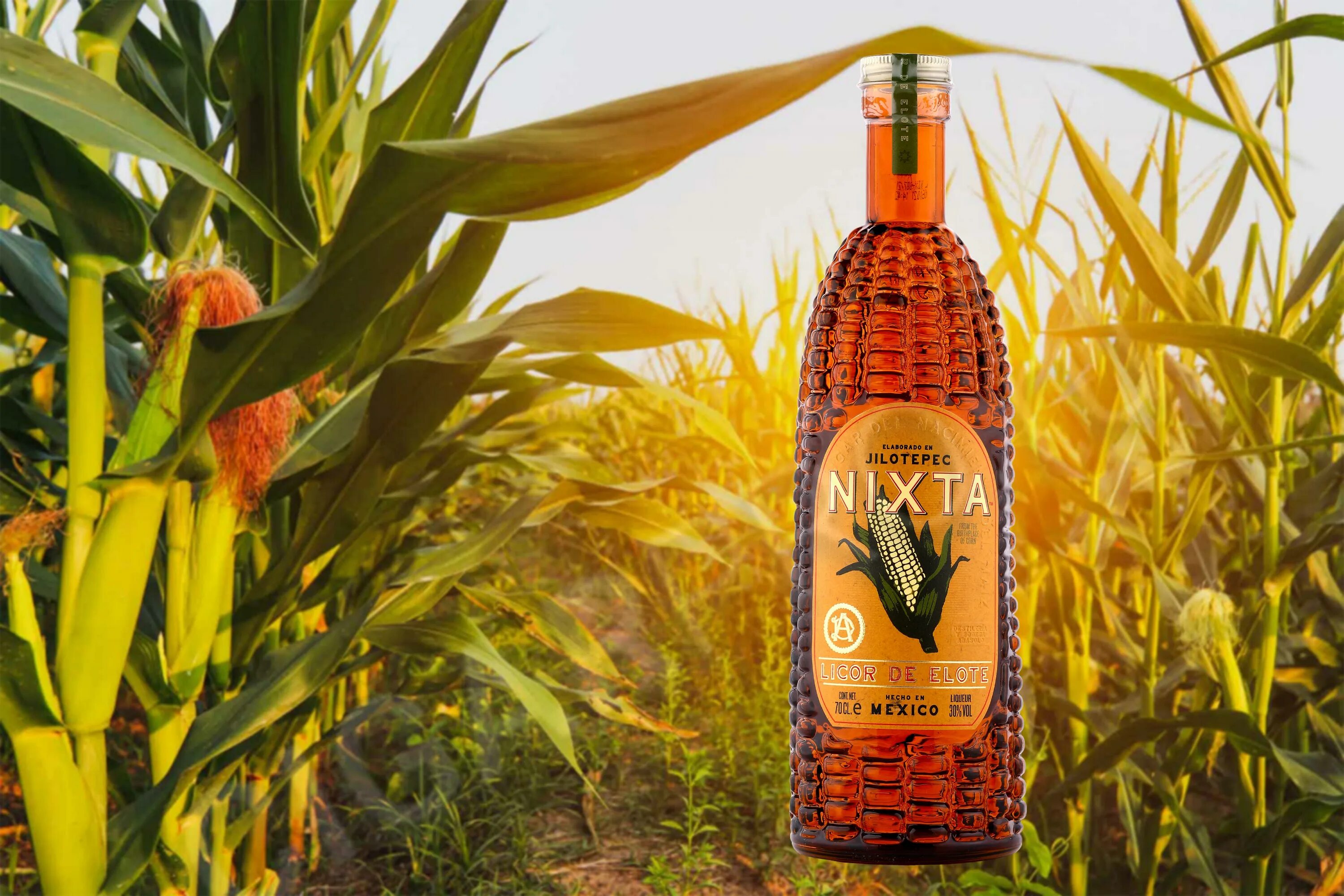 Corn fields