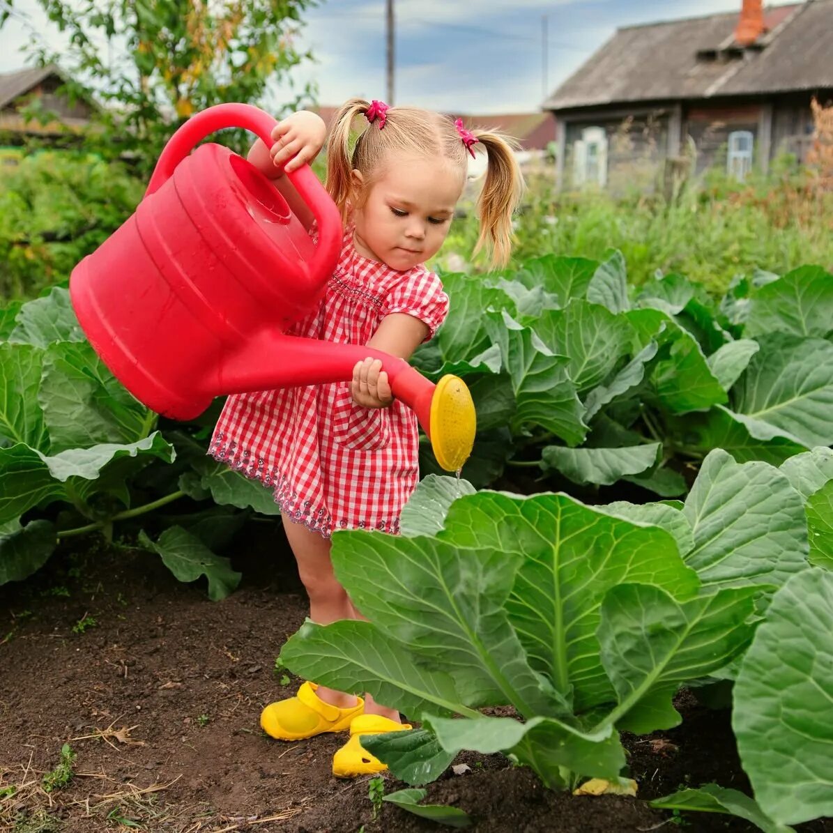 Мем капуста солдат. Девушка с капустой. Пустить в огород пословица. Пустить в огород. Карикатуры на зверей.