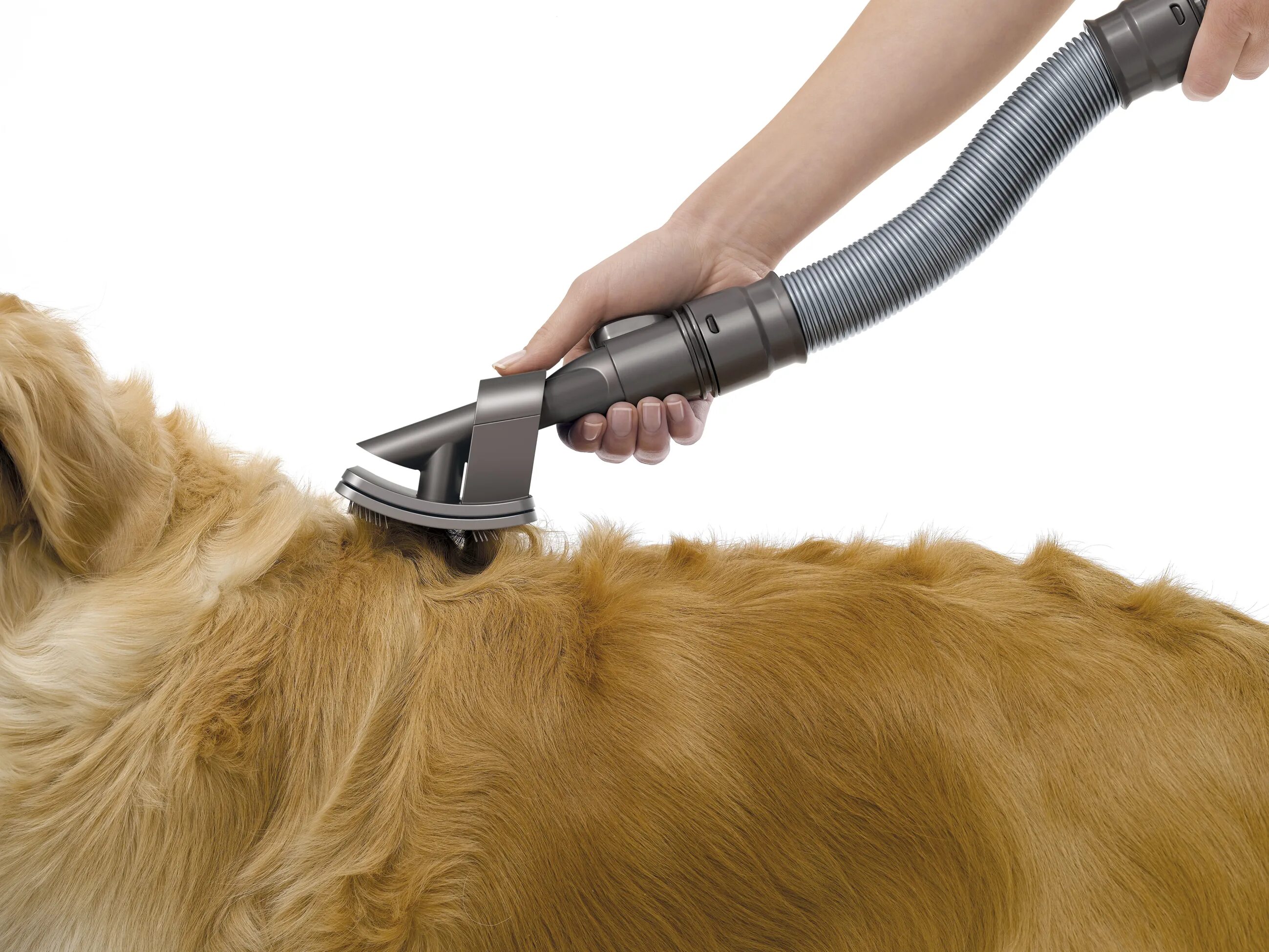 Pet cleaning. Насадка для пылесоса Dyson Pet Grooming. Насадка Дайсон для собак. Dyson пылесос с насадкой для вычесывания. Щетка для собак Dyson.