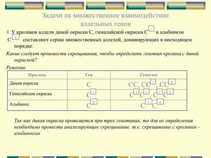 Определять в темную